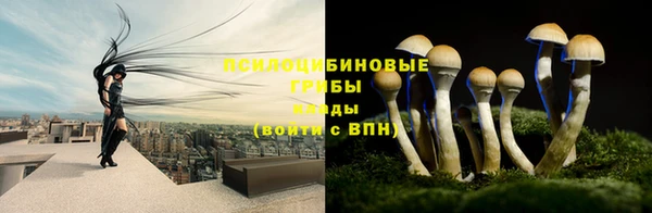 тгк Кукмор