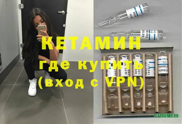сатива Ессентукская