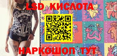 прущие грибы Краснознаменск