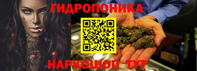 прущие грибы Краснознаменск