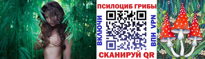 Галлюциногенные грибы Psilocybine cubensis kraken онион Лыткарино сколько стоит