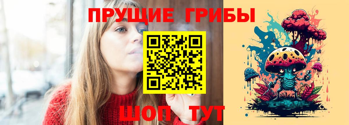 Псилоцибиновые грибы Psilocybe  Вход с VPN  Лыткарино 